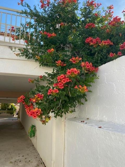 Spata Lykourgos Homes 외부 사진